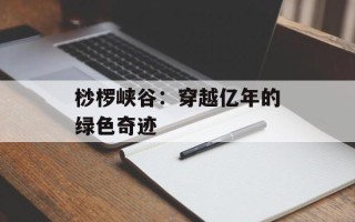 桫椤峡谷：穿越亿年的绿色奇迹