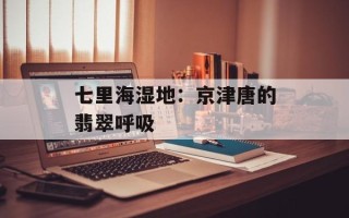 七里海湿地：京津唐的翡翠呼吸
