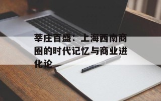 莘庄百盛：上海西南商圈的时代记忆与商业进化论