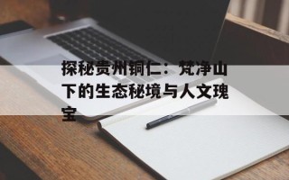 探秘贵州铜仁：梵净山下的生态秘境与人文瑰宝