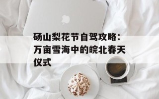 砀山梨花节自驾攻略：万亩雪海中的皖北春天仪式
