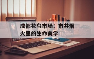成都花鸟市场：市井烟火里的生命美学
