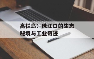 高栏岛：珠江口的生态秘境与工业奇迹