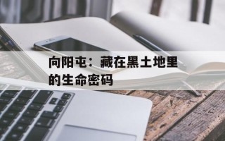 向阳屯：藏在黑土地里的生命密码