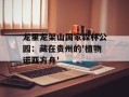 龙里龙架山国家森林公园：藏在贵州的'植物诺亚方舟'