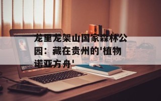 龙里龙架山国家森林公园：藏在贵州的'植物诺亚方舟'