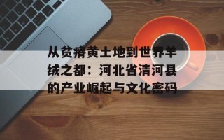 从贫瘠黄土地到世界羊绒之都：河北省清河县的产业崛起与文化密码