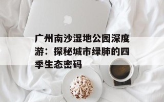 广州南沙湿地公园深度游：探秘城市绿肺的四季生态密码