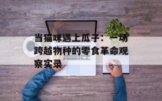 当猫咪遇上瓜子：一场跨越物种的零食革命观察实录