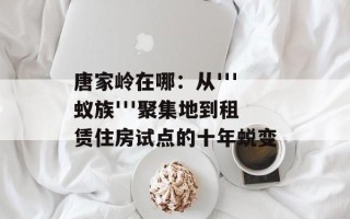唐家岭在哪：从'''蚁族'''聚集地到租赁住房试点的十年蜕变
