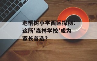 泡桐树小学西区探秘：这所'森林学校'成为家长首选？