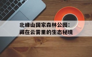 北峰山国家森林公园：藏在云雾里的生态秘境