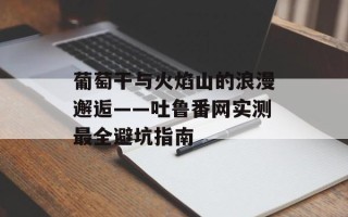 葡萄干与火焰山的浪漫邂逅——吐鲁番网实测最全避坑指南