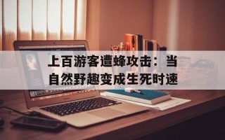 上百游客遭蜂攻击：当自然野趣变成生死时速