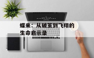 蝶来：从破茧到飞翔的生命启示录