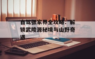 自驾张家界全攻略：解锁武陵源秘境与山野奇遇