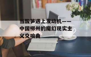 当酸笋遇上发动机——中国柳州的魔幻现实主义交响曲
