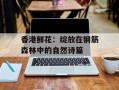 香港鲜花：绽放在钢筋森林中的自然诗篇