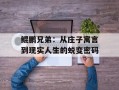 鲲鹏兄弟：从庄子寓言到现实人生的蜕变密码