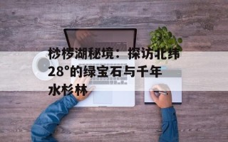 桫椤湖秘境：探访北纬28°的绿宝石与千年水杉林