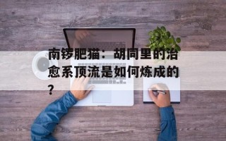 南锣肥猫：胡同里的治愈系顶流是如何炼成的？