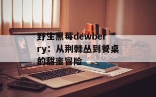 野生黑莓dewberry：从荆棘丛到餐桌的甜蜜冒险