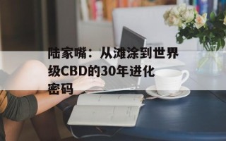 陆家嘴：从滩涂到世界级CBD的30年进化密码
