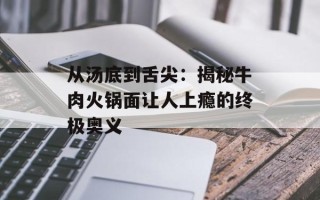 从汤底到舌尖：揭秘牛肉火锅面让人上瘾的终极奥义
