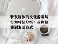 驴友群体的文化解读与行为特征分析：从背包客到生活方式