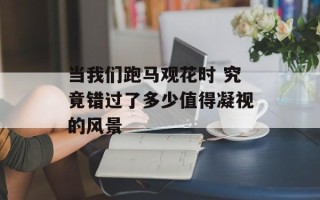 当我们跑马观花时 究竟错过了多少值得凝视的风景