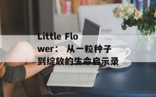 Little Flower： 从一粒种子到绽放的生命启示录