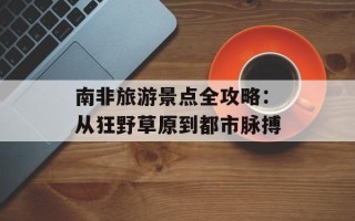 南非旅游景点全攻略：从狂野草原到都市脉搏