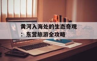 黄河入海处的生态奇观：东营旅游全攻略