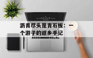 沥青尽头是青石板：一个游子的返乡手记