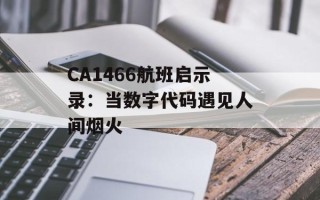 CA1466航班启示录：当数字代码遇见人间烟火