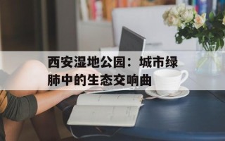 西安湿地公园：城市绿肺中的生态交响曲