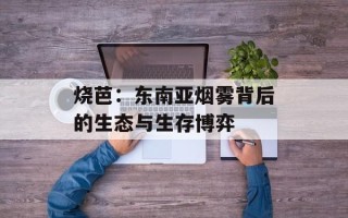 烧芭：东南亚烟雾背后的生态与生存博弈