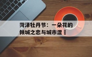 菏泽牡丹节：一朵花的倾城之恋与城市涅槃