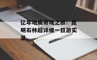 亿年地质奇观之旅：昆明石林超详细一日游实录