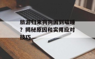 旅游归来狗狗困到瞌睡？揭秘原因和实用应对技巧