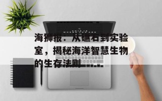 海狮报：从礁石到实验室，揭秘海洋智慧生物的生存法则