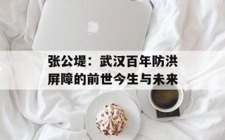 张公堤：武汉百年防洪屏障的前世今生与未来