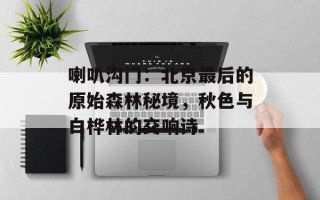 喇叭沟门：北京最后的原始森林秘境，秋色与白桦林的交响诗