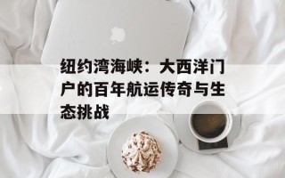 纽约湾海峡：大西洋门户的百年航运传奇与生态挑战