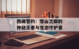 西藏雪豹：雪山之巅的神秘王者与生态守护者