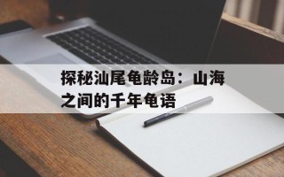 探秘汕尾龟龄岛：山海之间的千年龟语