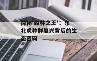 探秘'森林之王'：东北虎种群复兴背后的生态密码