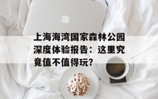 上海海湾国家森林公园深度体验报告：这里究竟值不值得玩？