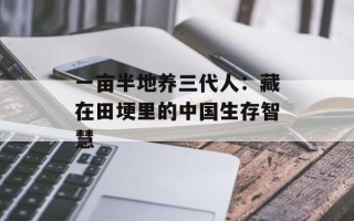 一亩半地养三代人：藏在田埂里的中国生存智慧