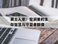 黄土人家：窑洞里的生存智慧与守望者群像